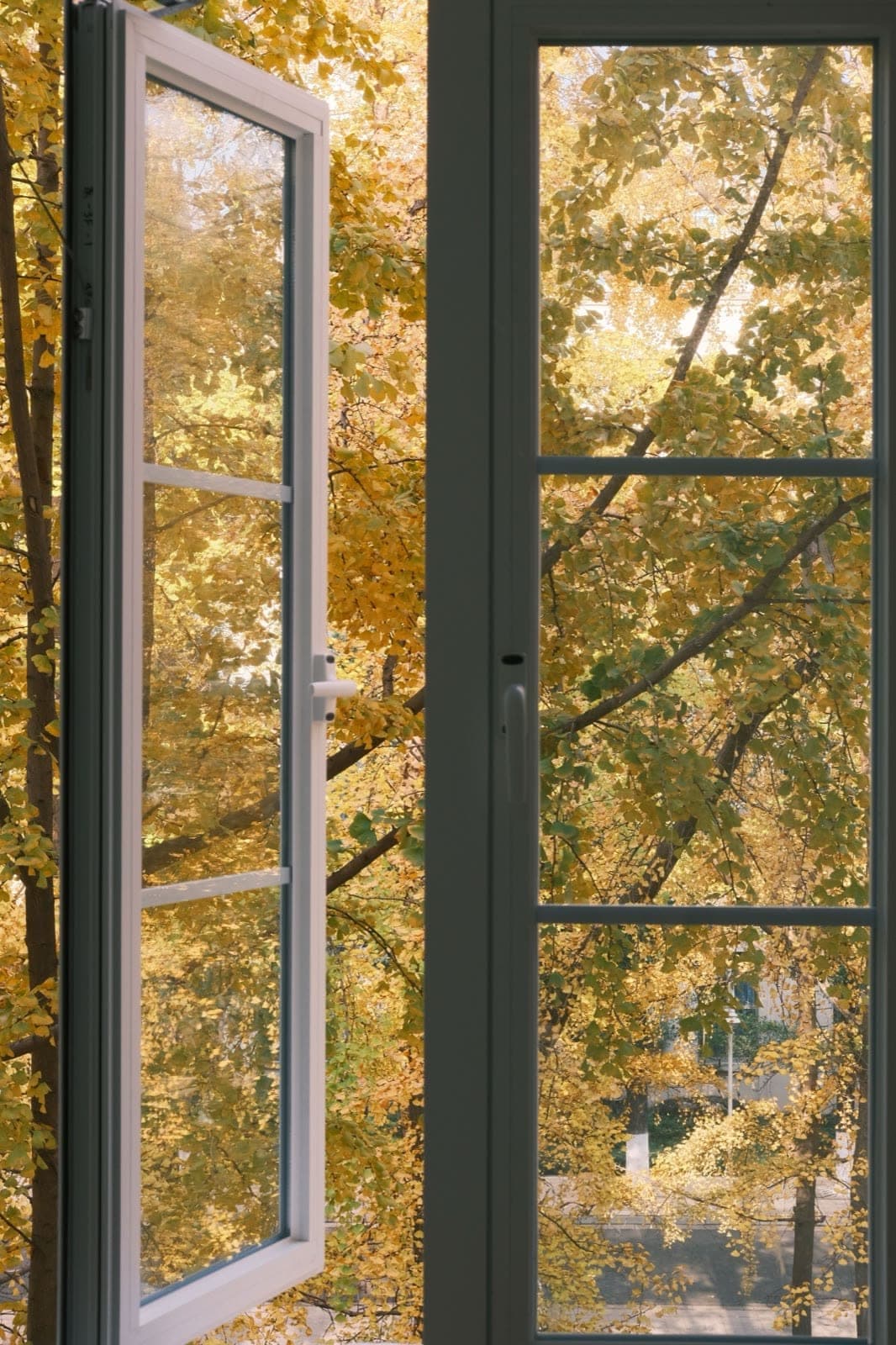 Opened casement window with visible sash, hinge hardware, and frame joinery — every station of window fabrication meets the lineal here