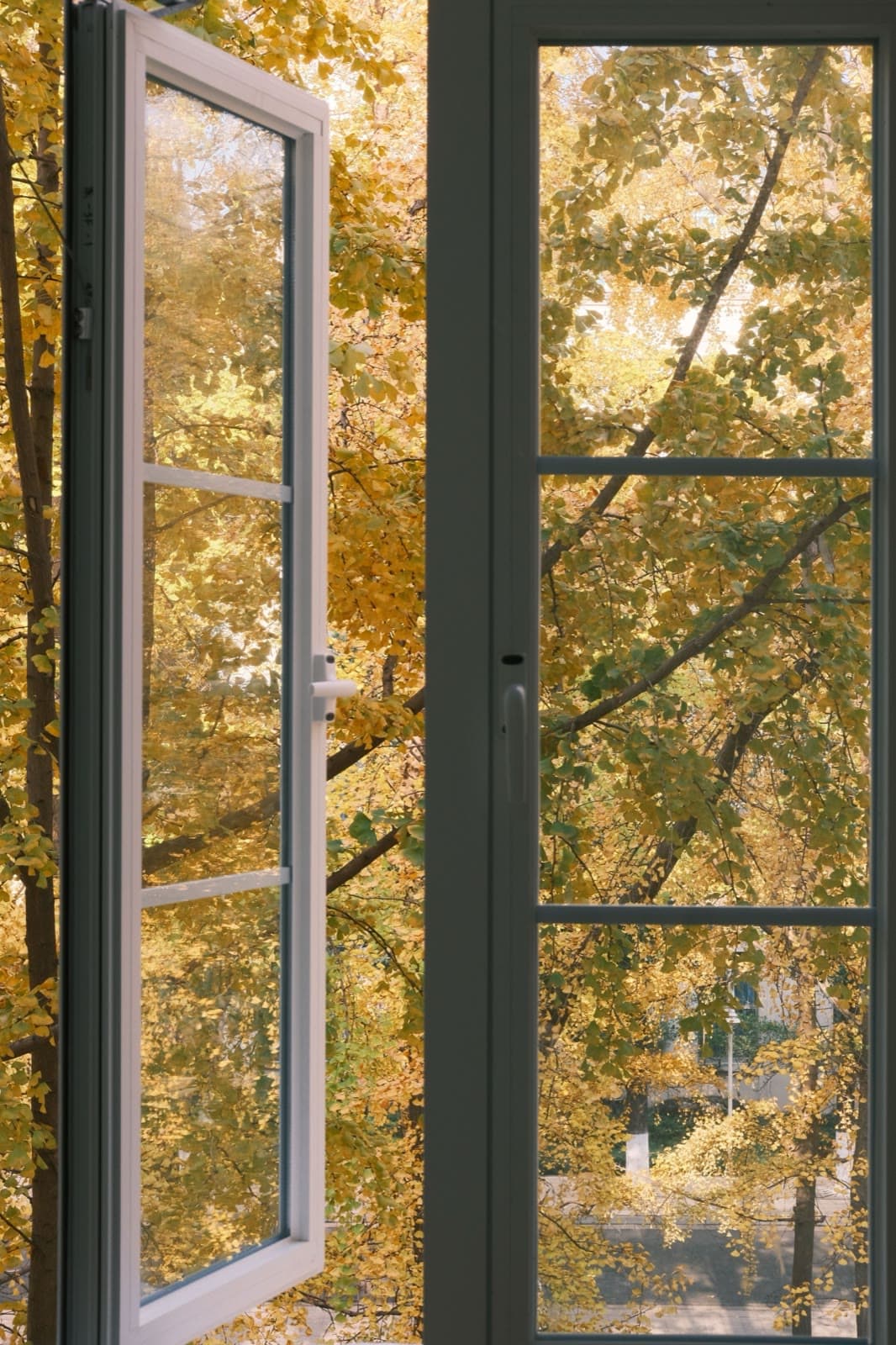 Opened casement window with visible sash, hinge hardware, and frame joinery — every station of window fabrication meets the lineal here