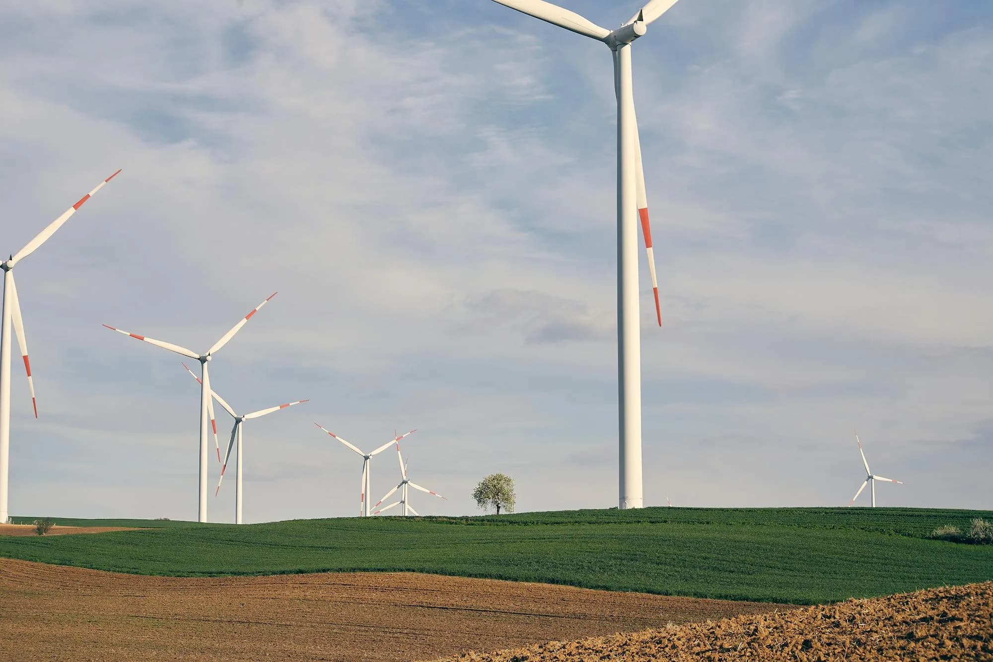 Onshore wind farm spread across open fields — typical service environment for medium-length GFRP-spar-cap blades