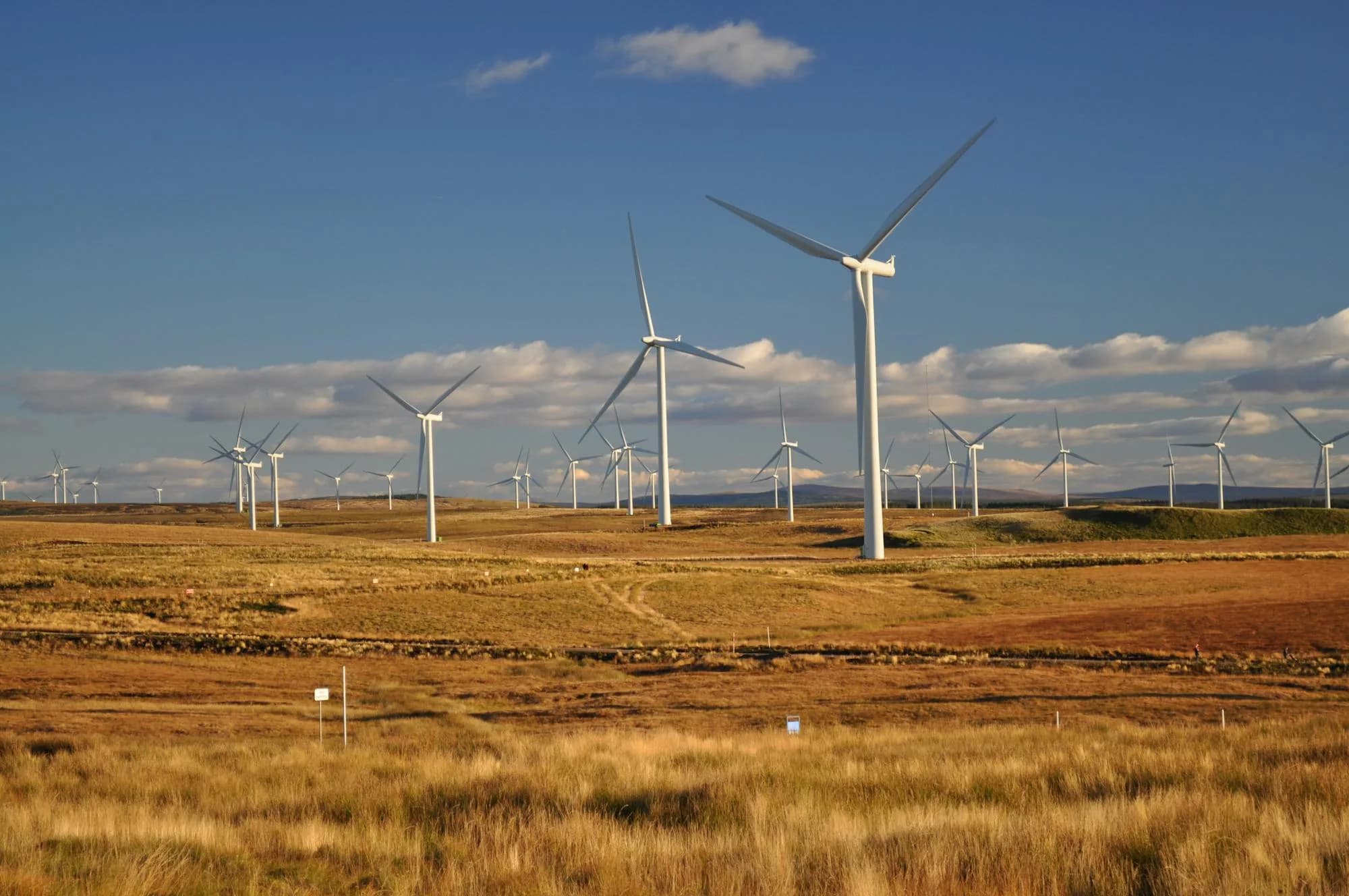 Onshore wind farm under open sky — GFRP-spar-cap blades in service
