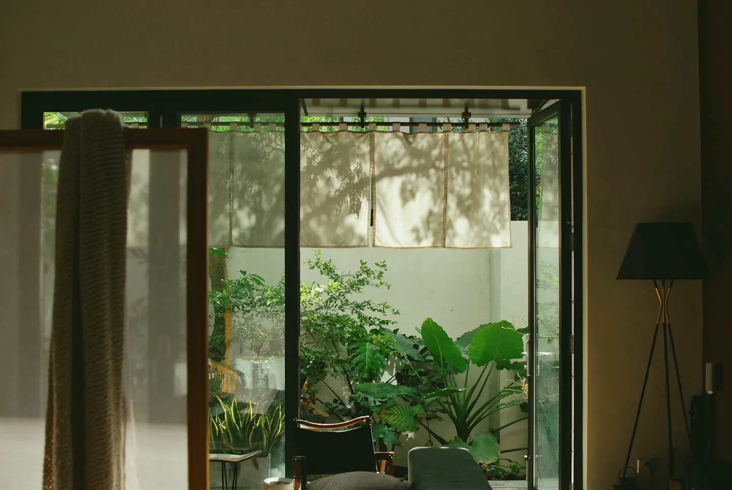 Glazed doors opening from an interior to a planted courtyard