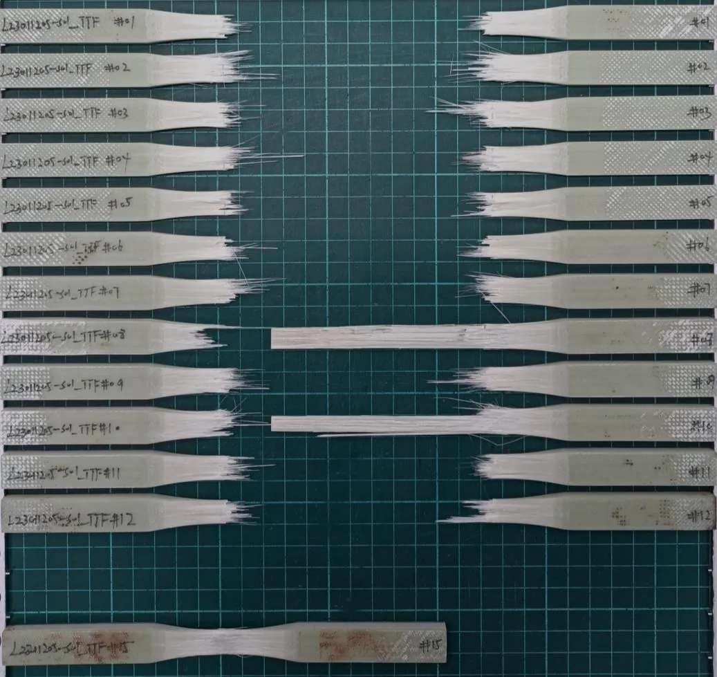 GFP-WE20 fatigue specimens after tension-tension testing with visible longitudinal fiber failure